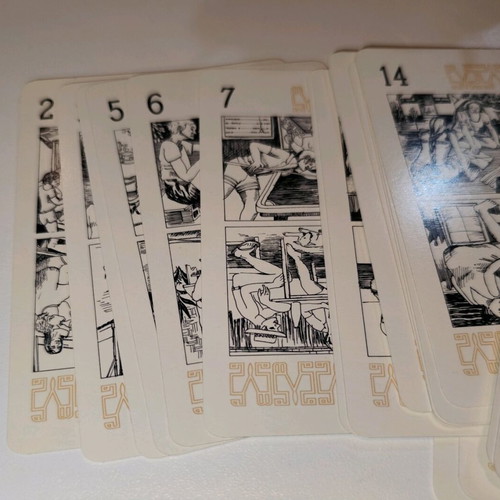 Tarot de Tahiti Tarot Deck 78 Cartes Plastifiees new