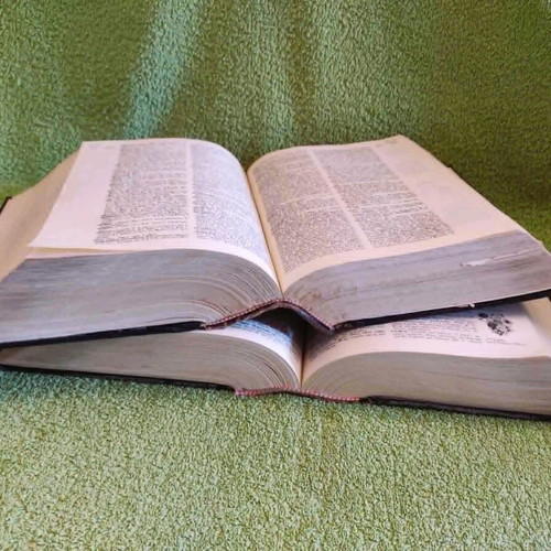 Papyrus Encyclopedic and Linguistic Dictionary 1961 used, 2 volumes