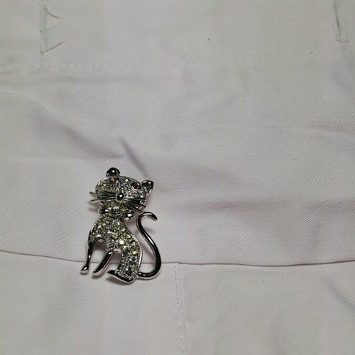 Cat brooch used
