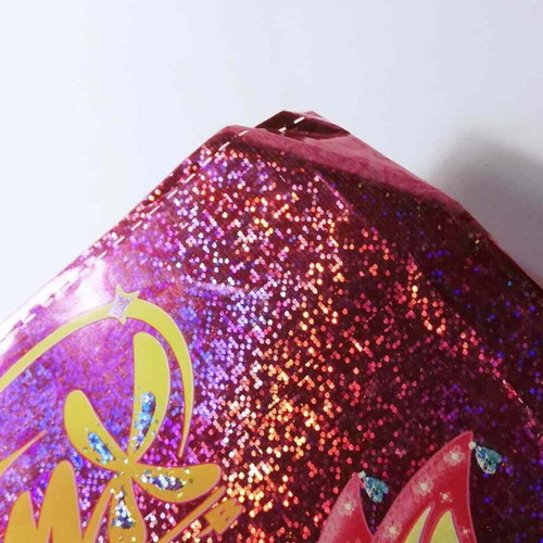Winx Club Bloom A4 Notebook Cover used