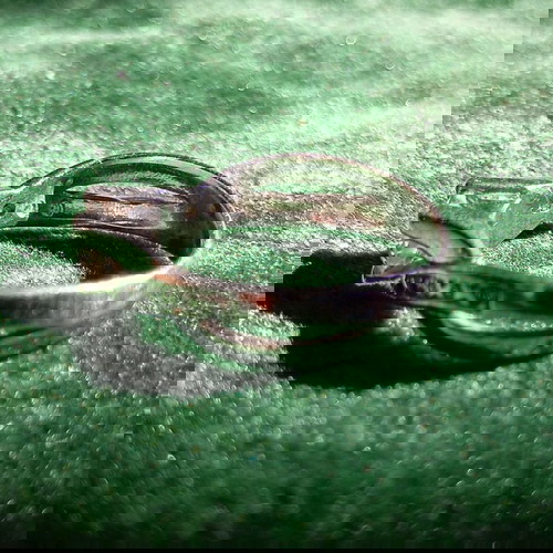 Ασημένιο δαχτυλίδι 925