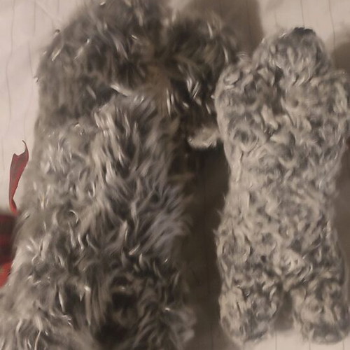 Stuffed dog mom and baby used with Scottish ribbon