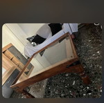 Τραπεζάκι σαλονιού με τζάμι από ινδικό ξύλο σαν καινούργιο
