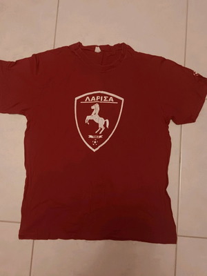 AEL collectible shirt Medium used with team titles on back