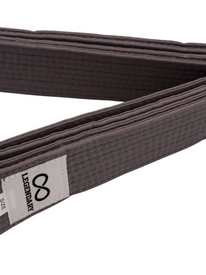 Legendary Grey Martial Arts Belt new