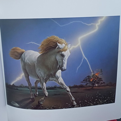 Droungas Art Book like new, bilingual edition