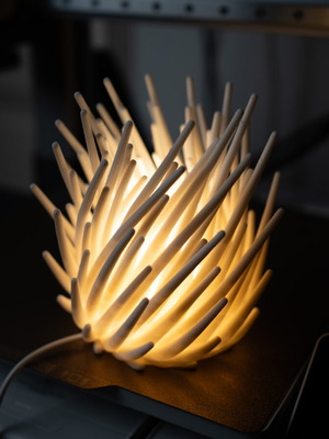 3D Printed Decorative Lamp new modern lighting