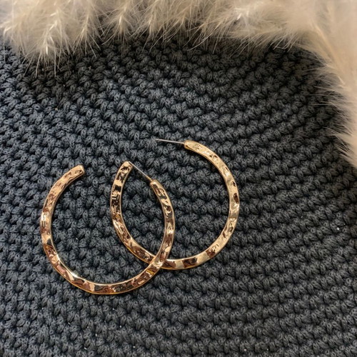 Earrings unused