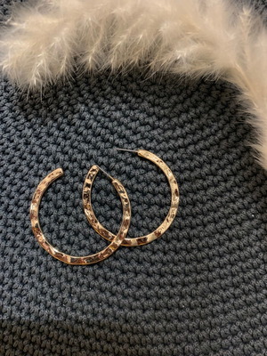 Earrings unused