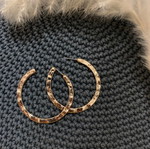 Earrings unused