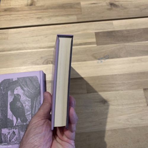 Edgar Allan Poe book collection used, 2 volumes with poems and stories