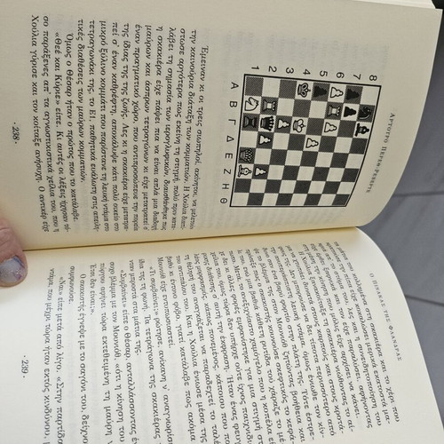 The Flanders Panel novel like new, Greek