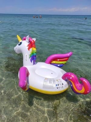 Inflatable unicorn float