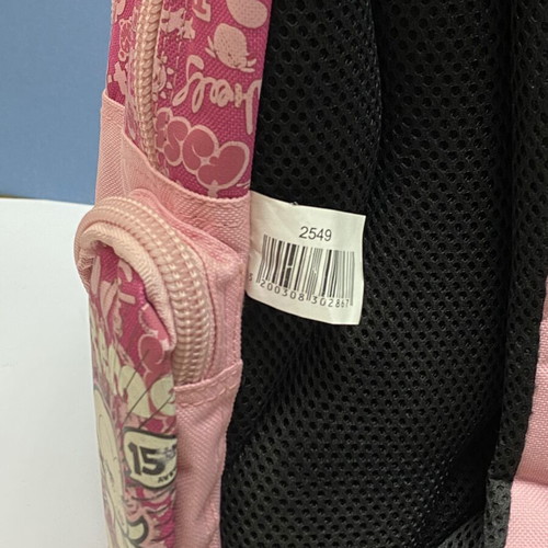 No Fear Nicki Y2K school backpack