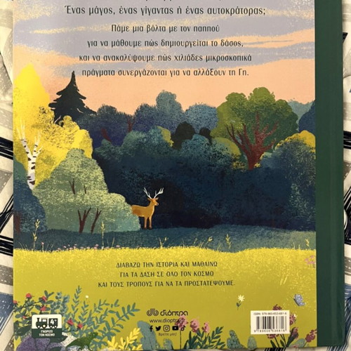 Book How the Forest Is Created like new, children’s