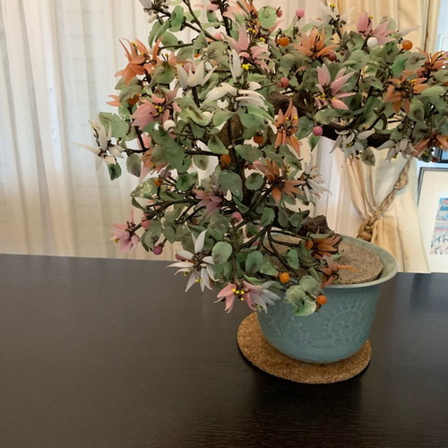 Bonsai jade tree collectible like new in ceramic pot