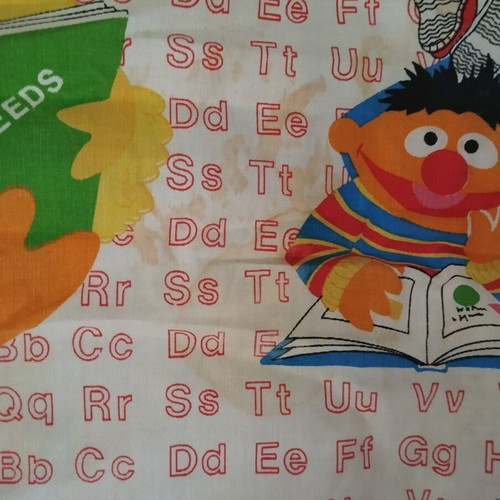 Sesame Street vintage pillowcase and blanket used