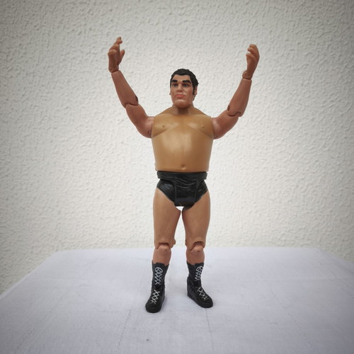 Andre the Giant FTC Legends of Pro Wrestling figure like new (2005)