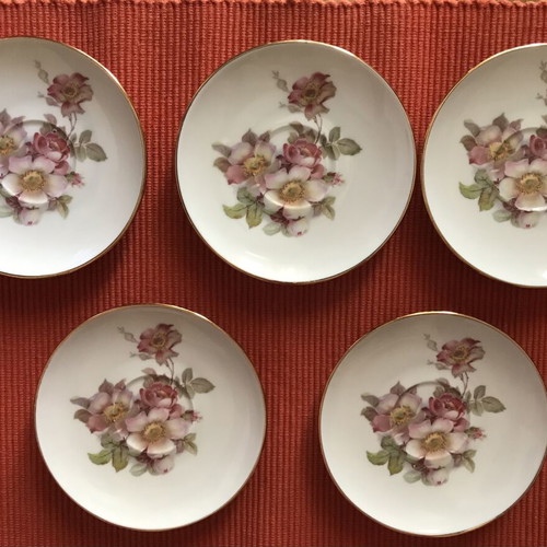 Schumann Arzberg dessert plates with wild roses and gold decoration, set of 5