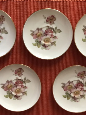 Schumann Arzberg dessert plates with wild roses and gold decoration, set of 5