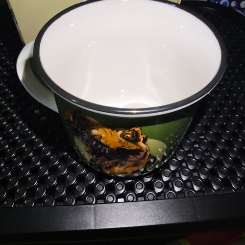 Dinosaur mug new, box only