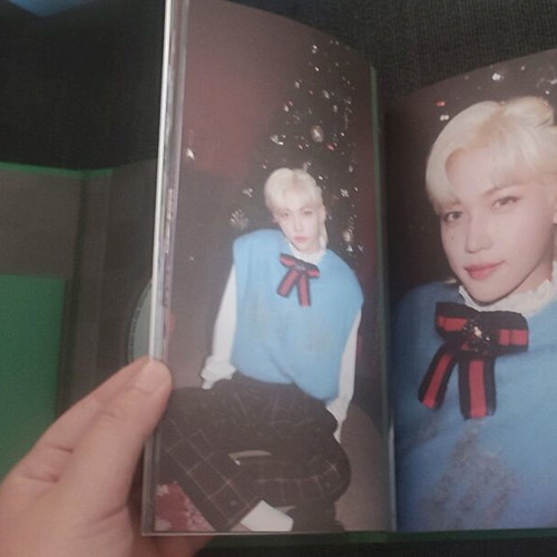 Stray Kids Christmas Evel Green version like new