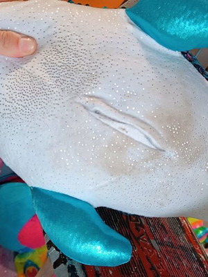 Plush dolphin used, not working