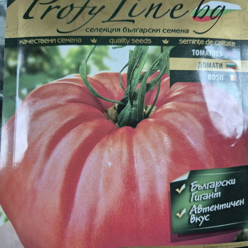 Tomatoes Bulgarian varieties new