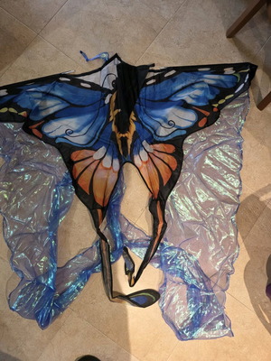 Χαρταετός με σχέδιο πεταλούδας καινούργιος