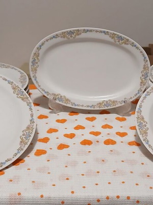 Vohenstrauss Germany Porcelain Dinner Plates set of 10 like new