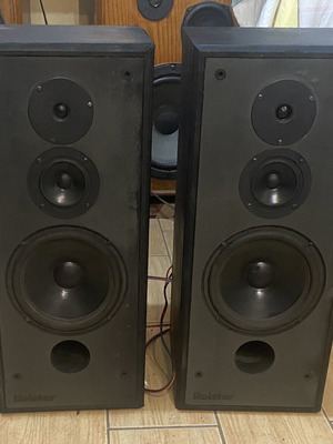 Roister DS-110 speakers used, genuine Vifa drivers, 105 watt