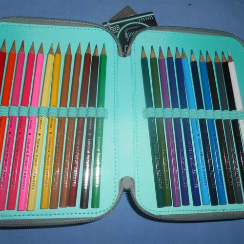 Jungle Dinosaur school pencil case new with light-up eye