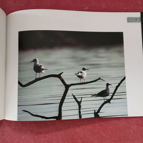 Oikofotografia album Dimitris Lambrellis like new