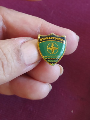 Vintage NATO lapel pin used, STANAVFORMED badge