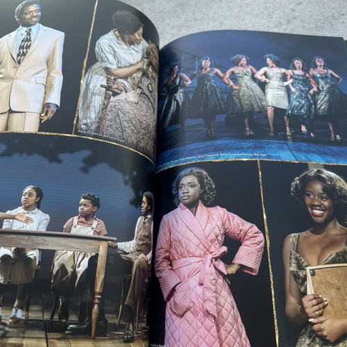 The Tina Turner Musical souvenir program like new