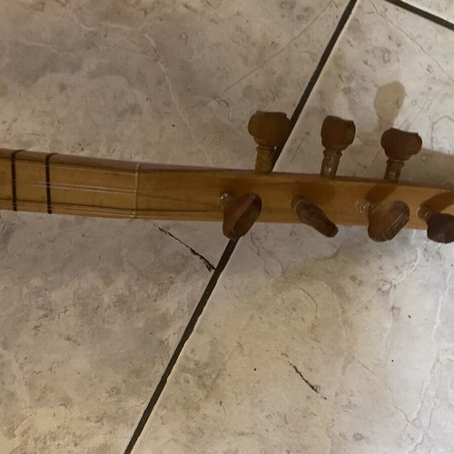 Student Tambouras with case, strings replaced