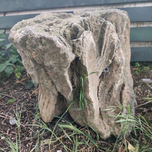 Fossilized tree trunk like new, large size