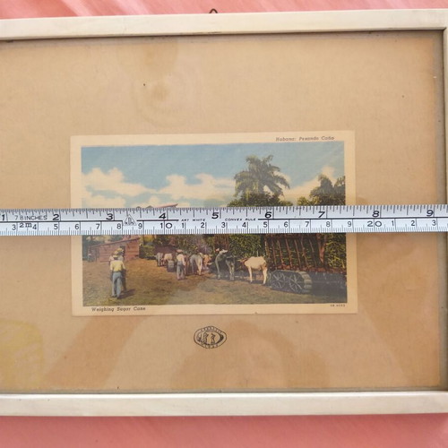 Framed print with vintage sugar cane weighing image in Havana used