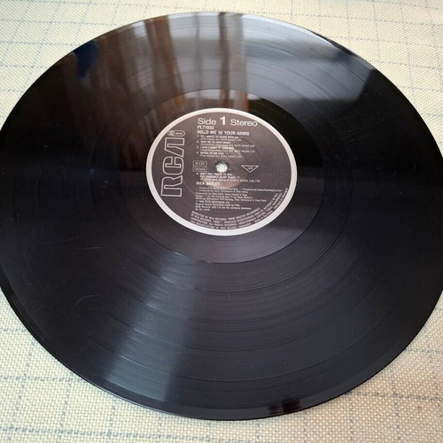 Rick Astley Hold Me In Your Arms LP used, pop