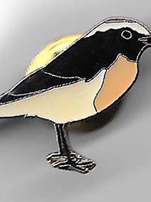 Birdlife Cyprus Bird Pin like new