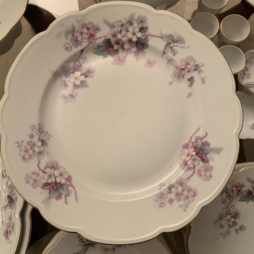 MZ Altrohlaou CM-R porcelain antique dinnerware set used, 55 pieces