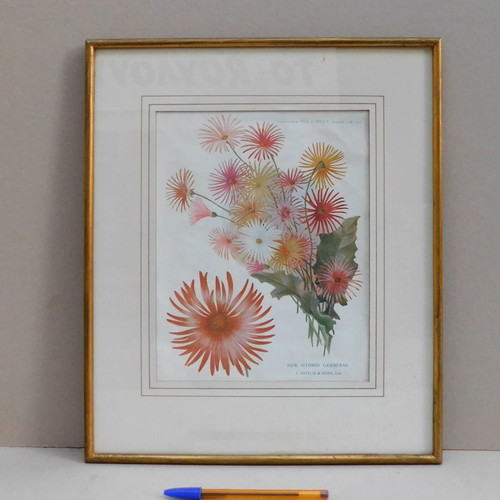 Framed print with protective glass 37 x 44 cm