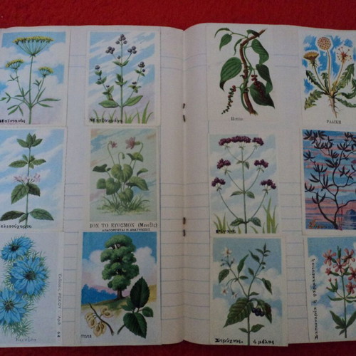 Botana tis Ellados album 1969 used with 60 cards and 3 chromolithographs