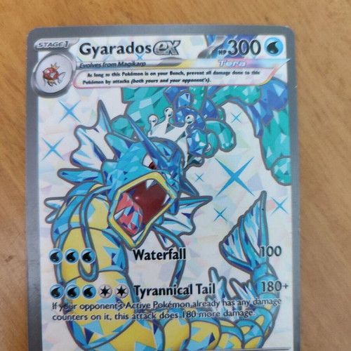 Pokémon Gyarados ex new with 1 random card