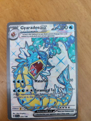 Pokémon Gyarados ex new with 1 random card