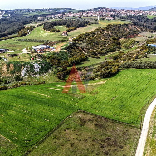 Buildable agricultural land 15,000 m² in Scholari Thessaloniki