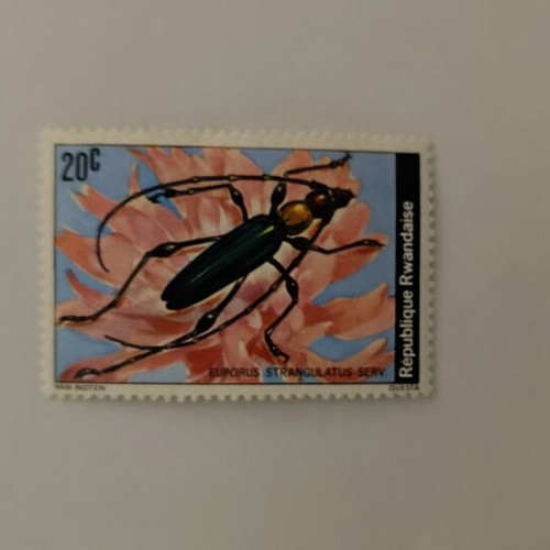Rwanda Stamp Euporus Strangulatus beetle mint condition