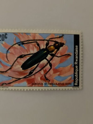 Rwanda Stamp Euporus Strangulatus beetle mint condition