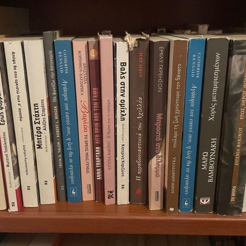 Literary, school, and dictionary books used, good condition