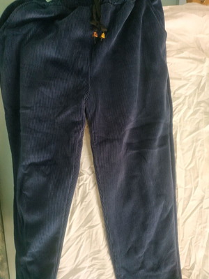 Blue velour sweatpants used with lining and drawstring